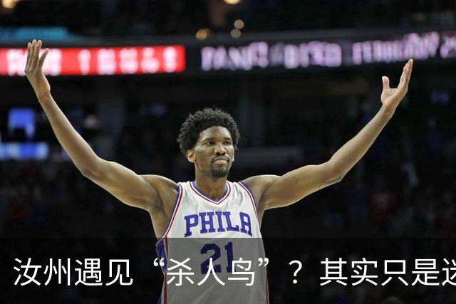 汝州遇见“杀人鸟”？其实只是迷路的鸸鹋！